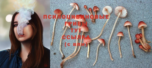 mdpv Абаза
